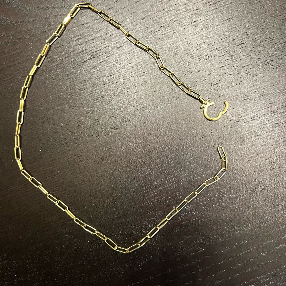 Gorjana Gold Link Necklace - Picture 3 of 5